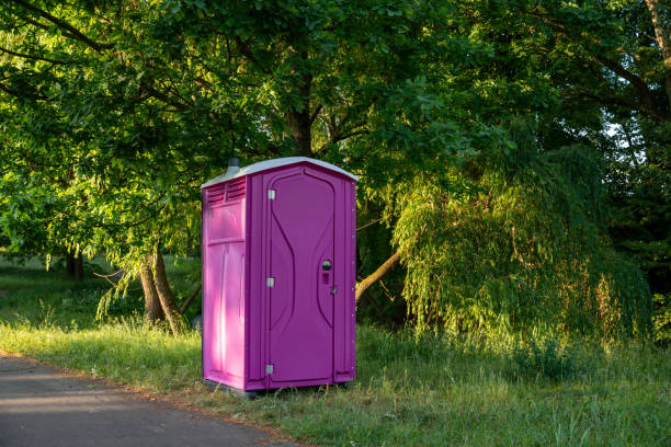 Best Sanitation services for porta potties  in New Hyde Park, NY